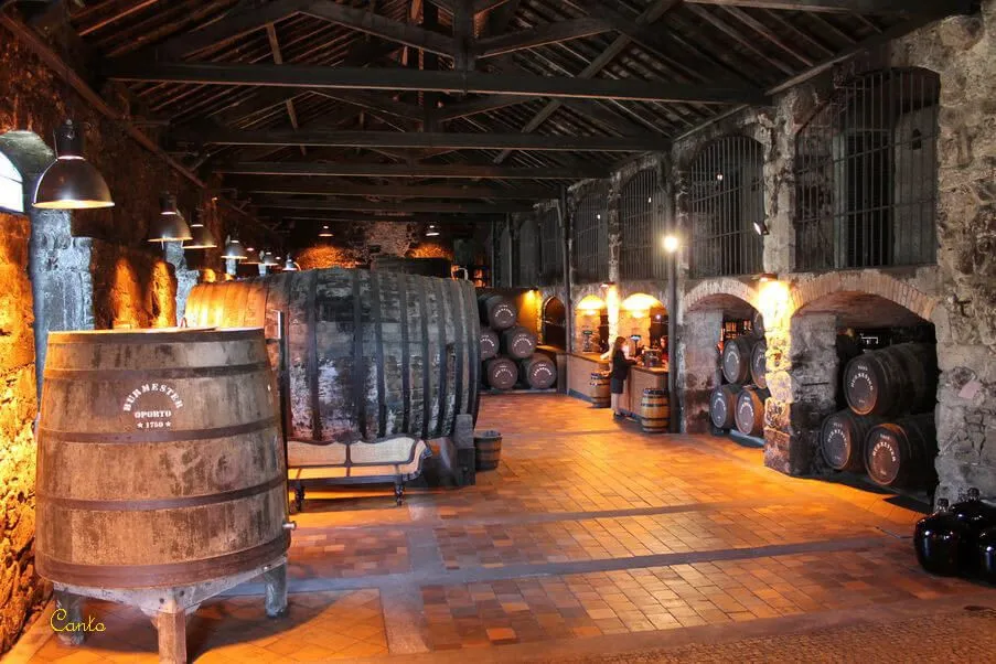 wine caves