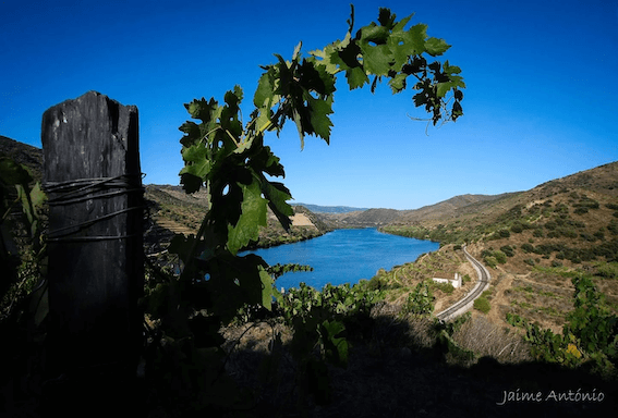 Douro easy