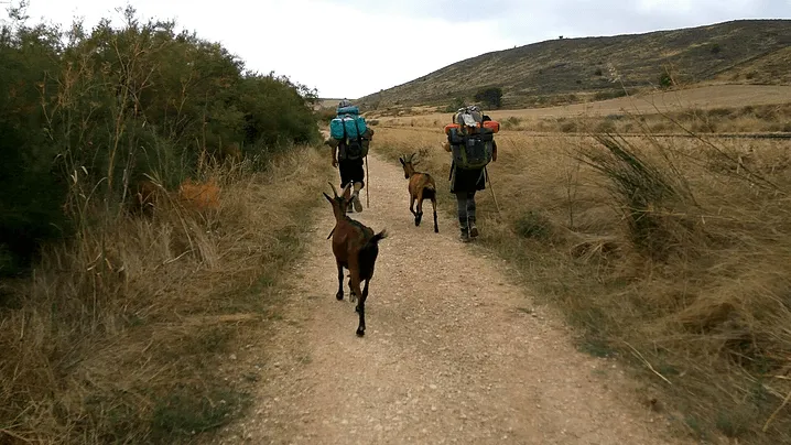 French cycling holiday Way from the Pyrenees