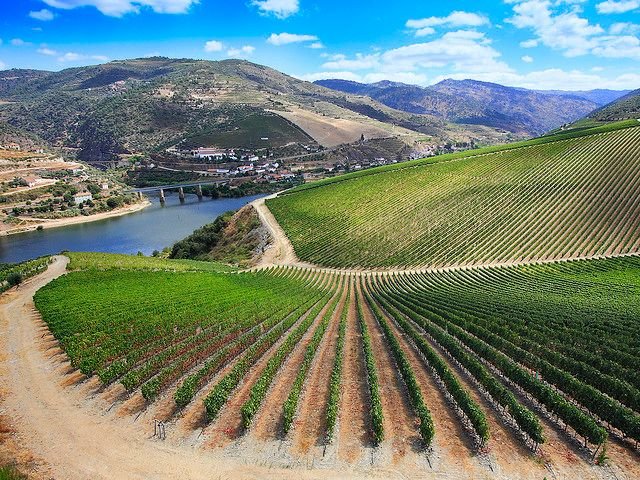 Douro Valley Wine bicycle Tour